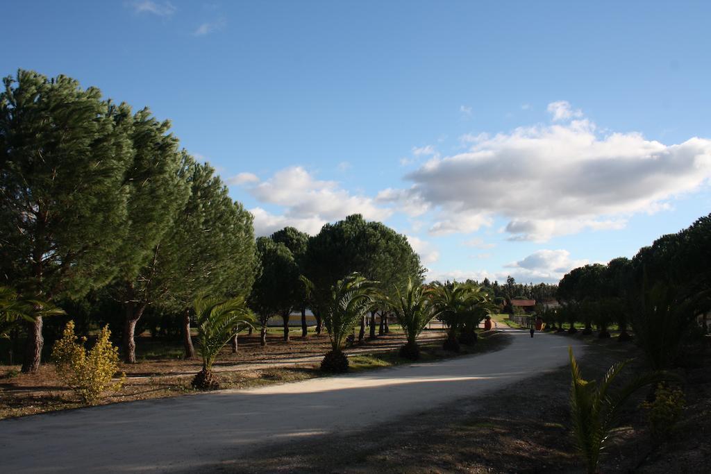 Monte Macario Alojamento Local Coruche Buitenkant foto
