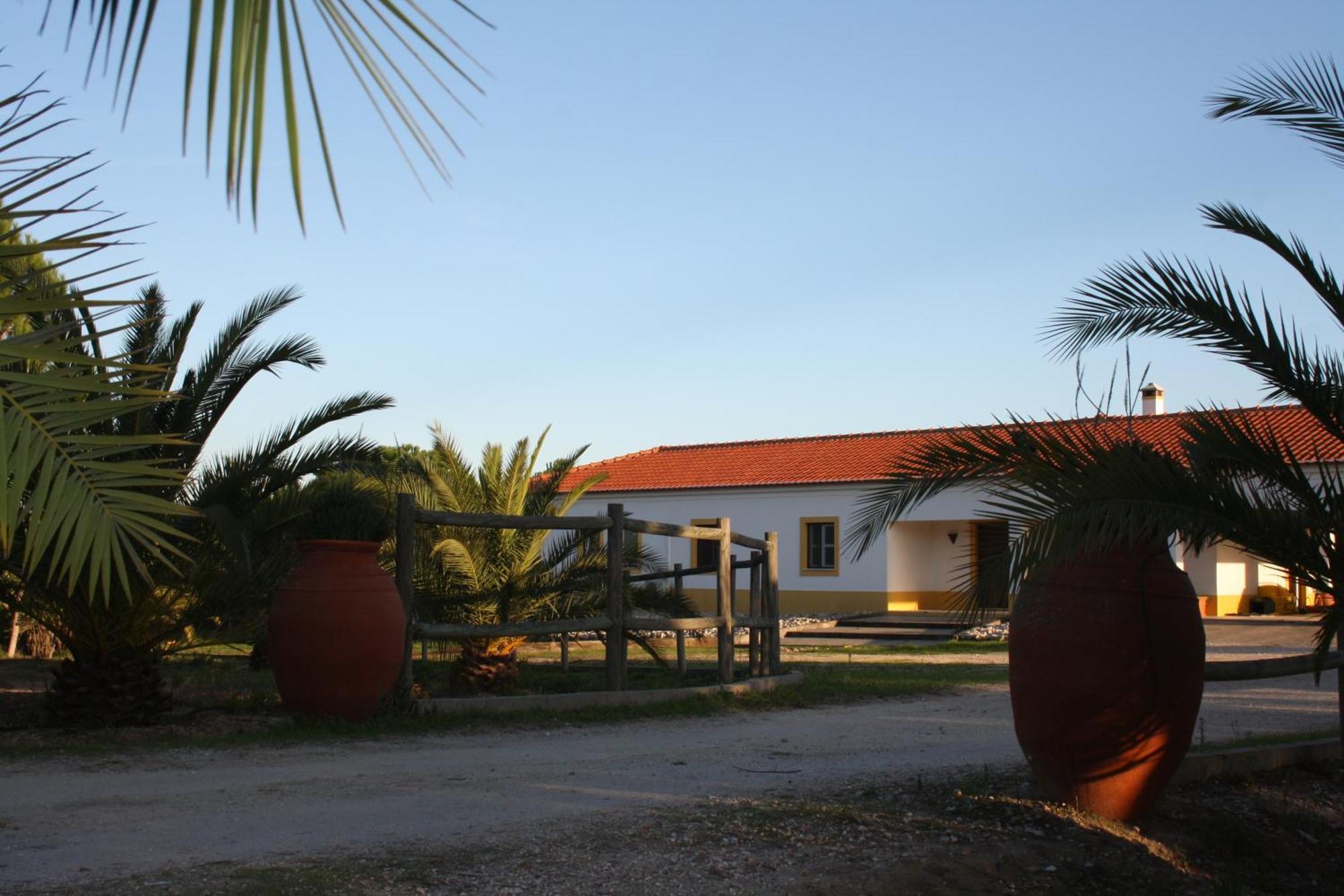 Monte Macario Alojamento Local Coruche Buitenkant foto